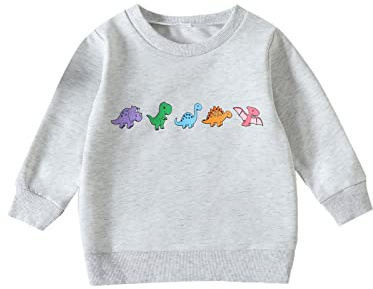 Generisch 2026 Niños Dibujos Animados Estampados Sudadera Sudadera con Capucha Tops Ropa Linda para Recién Nacidos Trajes, gris, 12-18 meses