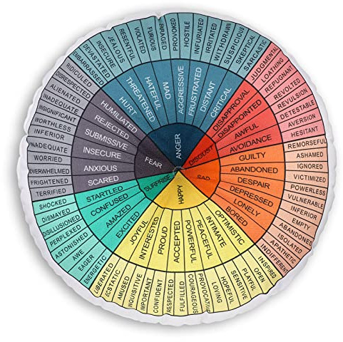 Wheel of Emotions feelings Pillow Round Throw Circle Seating Floor Cushion Comfortable Round Pillow Floor Cushions Mat for Therapist Counseling Office Home Sofa Decor (Dark Colors,20 x 20 Inch)