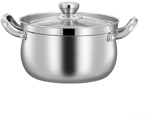 Gdfnmogo Pentola in acciaio inox da 24 cm, compatibile con induzione, con coperchio in vetro, per cucinare verdure e tagliatelle multiple