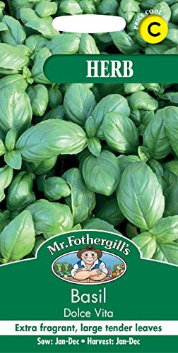 Mr Fothergill’s Seeds Ltd 35190 Basil Dolce Vita, Green