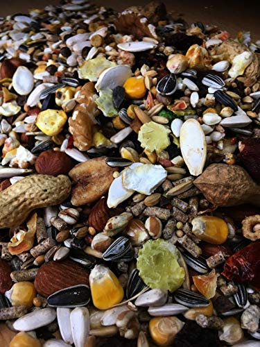 cura-canin 5 kg Premium Eichhörnchen Super - Food Eichhörnchenfutter der Spitzenklasse Streufutter Futterhaus