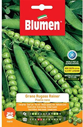 BLUMEN SEMENTI, PISELLO NANO GRANO RUGOSO RAINER