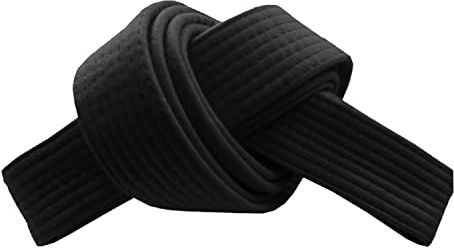 RingMaster Sports Grading Belts 9 Plain Colour for Karte Judo Taekwondo Martial Arts Training Competition | 230cm, 250cm, 280cm, 320cm (Black, 230 cm)