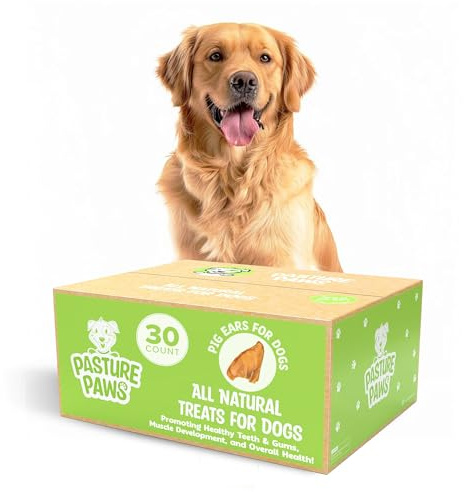 Pasture Paws Pig Ears for Dogs, 30-Pack – Natural Long-Lasting Dog Chews, Preservative-Free Treats, Promotes Healthy Teeth, Gums, and Muscle Development