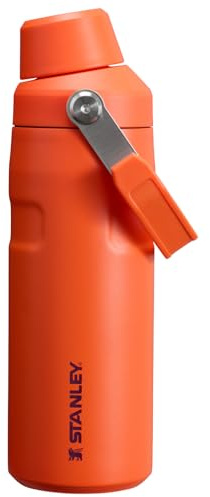 Stanley IceFlow 16 oz Fast Flow Water Bottle - Angled Spout Lid - Lightweight Leakproof Water Bottle for Travel and Gym, Stainless Steel Vacuum Insulated, BPA Free - Tiger Plum