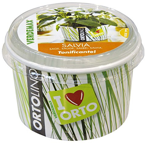 Verdemax 2028 - Kit Ortolino Salvia - Bianco/Verde