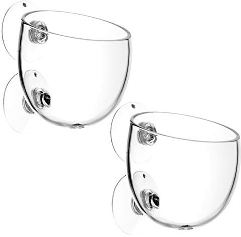 TDDL Lot de 2 Pots en Verre pour Aquarium - avec ventouses - Support pour Plantes Aquatiques - Accessoires pour la variété de la végétation Aquatique
