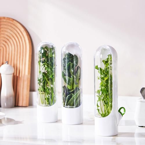 3Pcs Fresh Herb Keeper, Herb Saver for Refrigerator with Clear Front Lid, Reusable Herb Storage Container, Waterproof Vegetable Preservation Bottle for Cilantro Mint Parsley Asparagus 24.5x8.5x6.5cm
