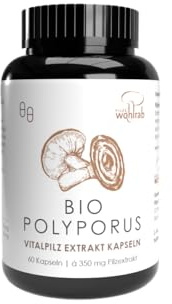 Svampar välrab – ekologiskt polyporus extrakt kapslar – 1 burk – 60 kapslar, 350 mg ren svampextrakt per kapsel, vitala svampar extrakt – vitamin C Acerola