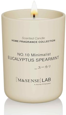 M&SENSE Scented Candles 250g Eucalyptus Mint Natural Soy Wax Candles Long Burning Minimalist Aromatherapy Candles, Perfect Christmas Gifts for Women and Men.