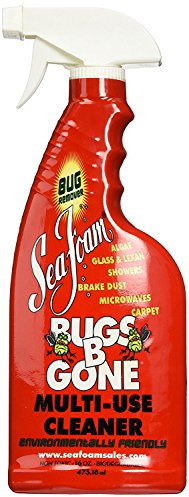Sea Foam BBG1 Cleaner