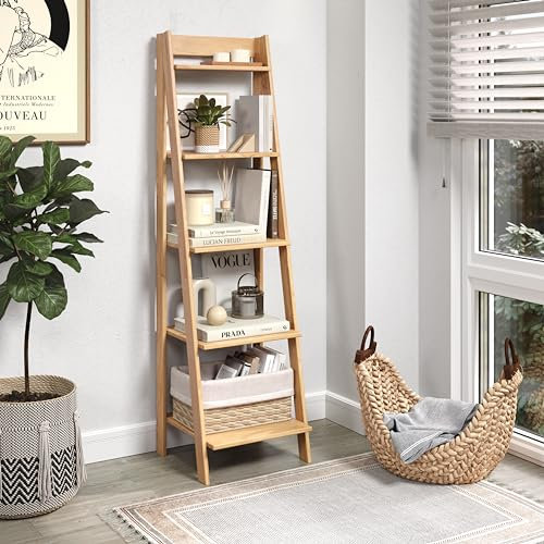 Mercers Furniture Corona Ladder Bookcase
