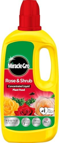 MiracleGro Rose & Shrub Concentrated Plant Food 800ml – NPK 7-3-5 with Trace Elements – Ideal for Roses, Shrubs, Beds, Borders, Pots & Containers – Apply Every 2 Weeks for Healthier Growth
