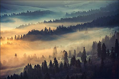 Muralo Fototapete Wald im Nebel 270 x 405 cm Vlies Tapete Wandtapeten Bäume Wiesen Wohnzimmer Schlafzimmer Moderne Wandbilder XXL Landschaft Panorama Wand Dekoration
