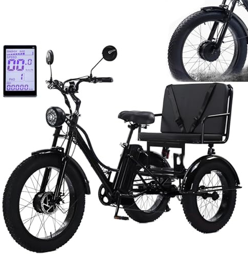 Vélo Cargo électrique Robuste à 3 Roues pour Adultes, écran LCD et Panier, Charge maximale de 150 kg, idéal pour Les Courses et Les Pique-niques.