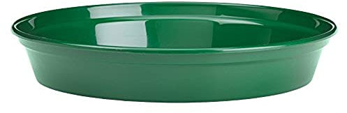 Stewart 2846004 25.5 cm Flower Pot Saucer - Green