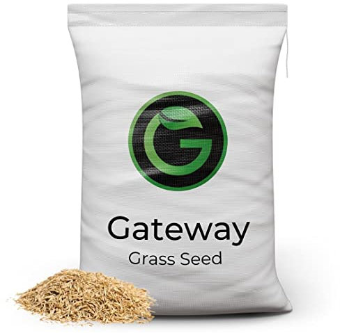 Horse Paddock Grass Seeds - Fast Growing Grass Seed for Repairs on Pastures, Fields & Gateways - Ultra Hard Wearing - 5kg - Garden Lawncare Guy