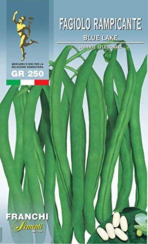 Franchi sementi semi di fagioli e fagiolini nani e rampicanti in confezioni varie (rampicante blue lake, 250 grammi)