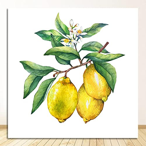 Frutis Gemälde Für Küche Wohnkultur Zitrone Auf Dem Ast Wandbilder Wohnzimmer Poster 1 Stück HD Druck Auf Leinwand 30x30cm (12x12inch) Ungerahmt
