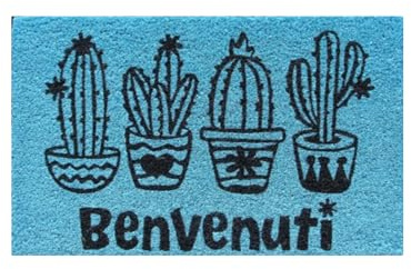 Baroni Home Zerbino Ingresso Casa in Fibra di Cocco Dipinto a Mano, Tappeto da Esterno con Fondo Antiscivolo, Zerbino con Cactus Resistente e Facile da Pulire, 60x38 cm, Azzurro