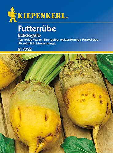 Kiepenkerl 617032 Futterrüben Eckdogelb Saatgut Portion