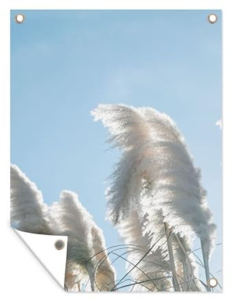 MuchoWow Poster exterieur Ciel - Herbe - Herbe de la pampa Decoration murale 90x120 cm Résistant aux intempéries/soleil