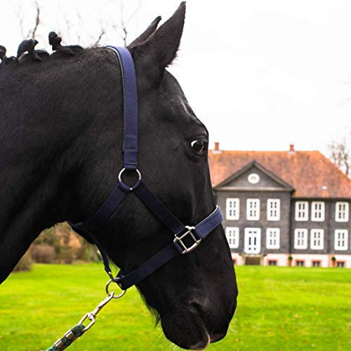 Pferdelinis Halter for warmblood, thoroughbred, cold-blood, pony - stable halter, grazing halter, 2-way adjustable pin buckles, safe and tear-resistant (blue, cold blood)