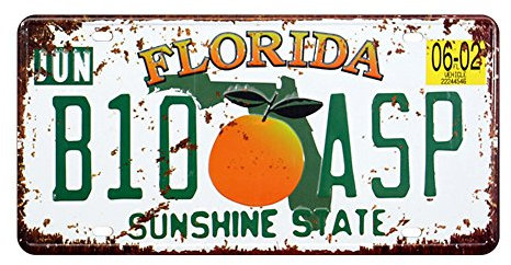 Florida B10 ASP Auto Nummernschild Auto Tag Home/Cafe Bar/Pub/Restaurant/Ausstellung Wand Decor Vintage Plaque