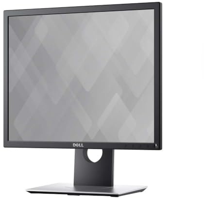 Dell P1917S