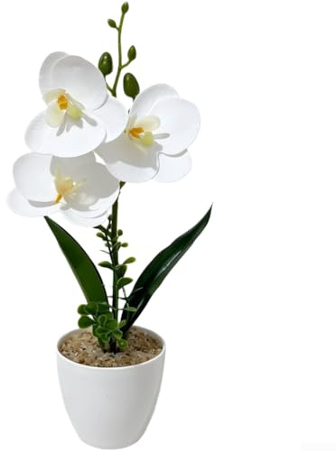 1 krukväxt Phalaenopsis orkidé konstgjord orkidé silke orkidé dekor PVC-material för inomhusdekoration (A)