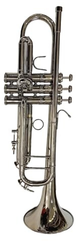 Trompette pour Débutant Trompette BB Joueur Professionnel Instrument En Laiton Trompette Avec Sac De Transport(Silver)