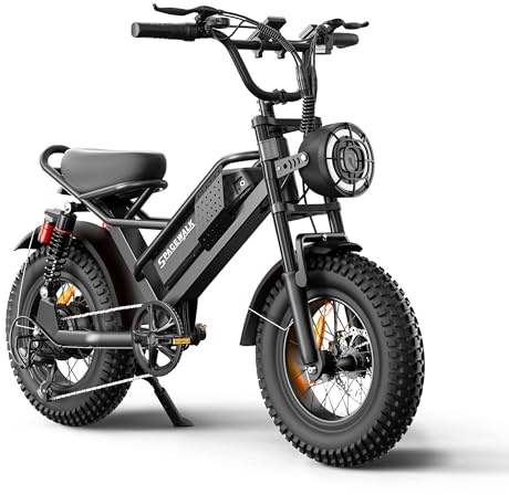 Spacewalk 20” Fat Tire Electric Bike for Teens & Adults, 750W /24MPH E Dirt Bike, 48V 15.6Ah Battery, LED Display, 7-Speed Electric Bicycle with Rear Rack, Up to 55 Miles