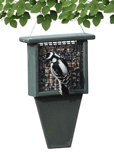 Songbird Essentials Tail Prop Suet Feeder - Recycled Plastic Bird Feeder with Coated Wire Cage for Bird Seed Cakes - Hunter Green