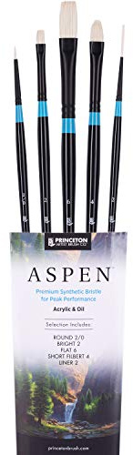 Princeton Aspen 6500 - Set di 5 pennelli sintetici professionali per pittura a olio, per pittura a olio, acrilico e guazzo, pennelli piatti e rotondi