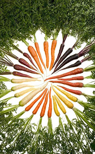 Möhren/Karotten *Bunter Mix* 200 Samen