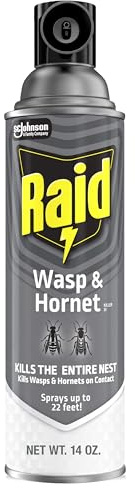 Raid Wasp and Hornet Killer Spray, Kills the entire nest, Kills Paper Wasps, Yellow Jackets, Mud Daubers and more, 14 oz