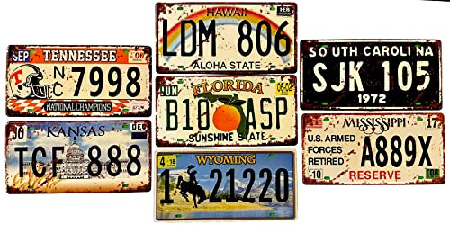 DiiliHiiri Set di 7 targhe d'immatricolazione per auto americane vintage retrò targhe USA decorazione per bar caffetteria grotta uomo garage o officina, 15 x 30 cm (2651-3-4-8-11-19-25-27)
