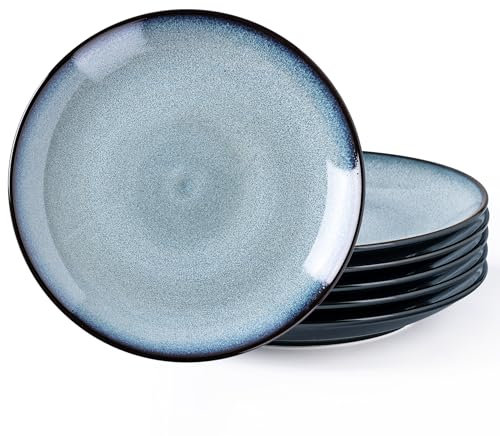 LERATIO Ceramic Dinner Plates Set of 6,10.5 Inch Reactive Glaze Plates