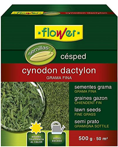 Flower - Semillas Cynodon Dactilon 500g | Grama Fina para 50m2 | Máxima Tolerancia al Calor | Riego Escaso, Tamaño 14.4x6x16 cm, Material Semilla