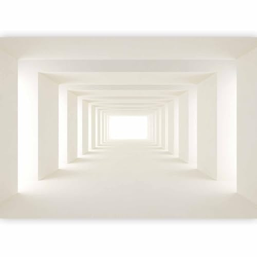 Papier peint murando intissé 350x256 cm Décoration Murale XXL Poster Tableaux Muraux Tapisserie Photo Trompe l'oeil tunel 3D a-A-0124-a-b