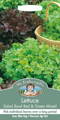 Mr Fothergills - Pictorial Packet - Vegetable - Lettuce Salad Bowl Red & Green Mixed - 1250 Seeds