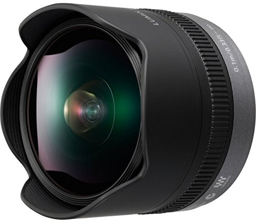 PANASONIC LUMIX G FISHEYE Lens, 8MM, F3.5, MIRRORLESS Micro Four Thirds, H-F008 (USA Black)