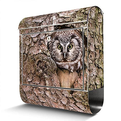 banjado® Briefkasten Edelstahl mit Motiv Eule 38x43x12cm & 2 Schlüssel - rostfreier Edelstahl Briefkasten mit Zeitungsfach - Postkasten A4 Einwurf inkl. Montagematerial