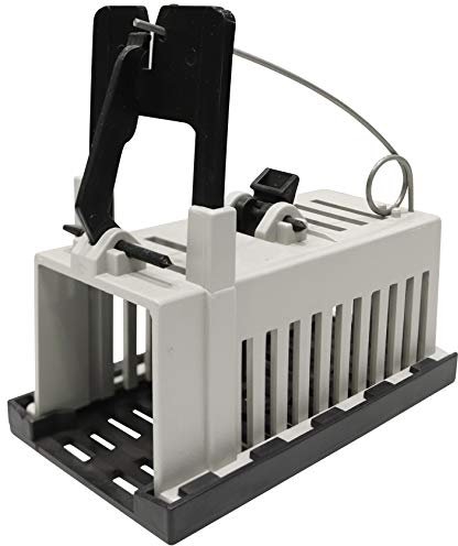 Home>it Gilotti Rat Trap