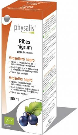 Grosellero negro (ribes nigrum) extracto hidroalcoholico bio 100ml Physalis