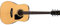 Ibanez Performance Series PF15-NT - Full Size Acoustic Guitar - Natural High Gloss,Full Acoustic