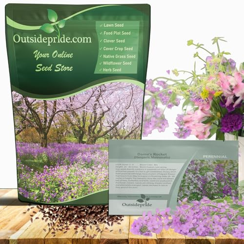 Outsidepride Dame's Rocket Flower Seeds - 1/4 Lbs. Perennial, Easy to Grow, Deer Resistant & Self-Seeding Wildflower Seeds for Planting Vibrant and Fragrant Blooms in Pollinator & Butterfly Gardens