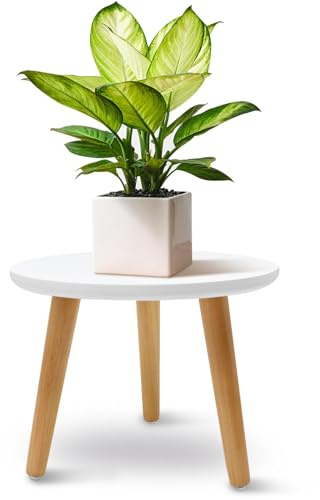 JNUYISW Supporto per Piante in Legno, Bianco Supporto per Vaso di Fiori Rotondo con 3 Piedi per Vasi di Dimensioni Diverse Stand di Piante Per Casa Giardino Balcone Interni Esterni (22x28cm)