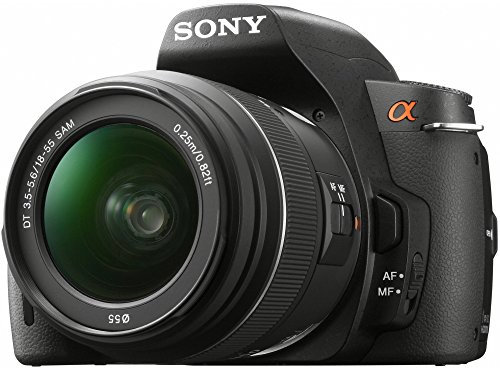Sony α DSLR-A390L + DT 18-55mm Kit d'appareil-Photo SLR 14.2MP CCD (Dispositif à Transfert de Charge) 4592 x 3056 Pixels Noir