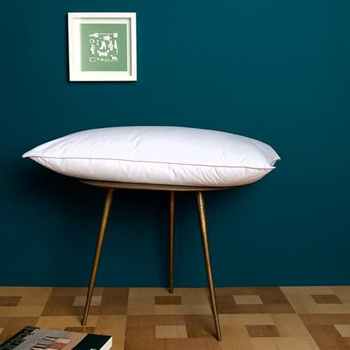 Generico MINARDI PDA Pillow Guanciale Cuscino Piuma D'Oca Naturale antiacaro Antibatterico cm 50x80 Made in Italy